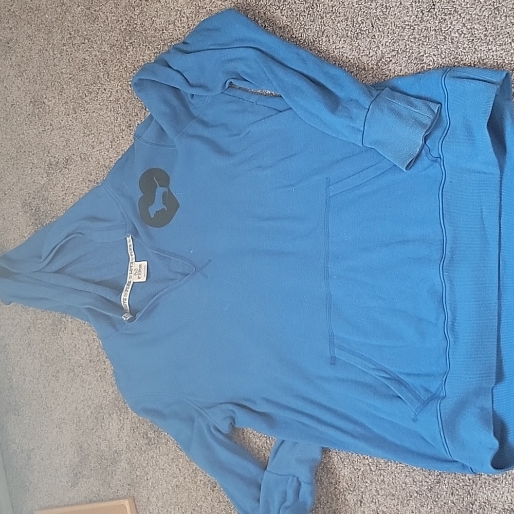 PINK Victoria's Secret size L blue hoodie
